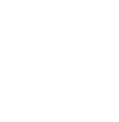 Nascimento Digital
